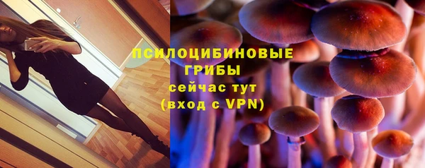 тгк Михайлов