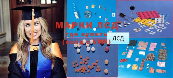 эйфоретик Кедровый
