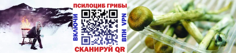 гидра рабочий сайт  Медногорск  Псилоцибиновые грибы прущие грибы  закладки 